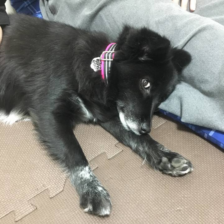 129fb34b 241f 468c ae45 d029def048cc 1512039161917