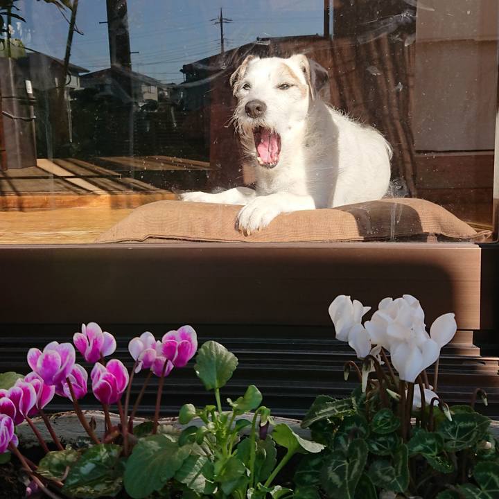 129fbe7b 511d 4002 882e 2234eeb415de 1544486447466