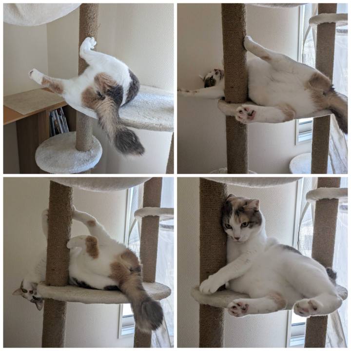 129fcf1e d4c8 4764 acc0 183a79ad7a52 1690780535687