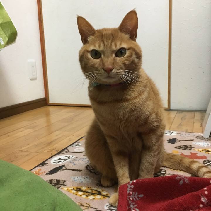 129fe880 492f 44a7 9d28 db9f8b8639cc 1518232654156