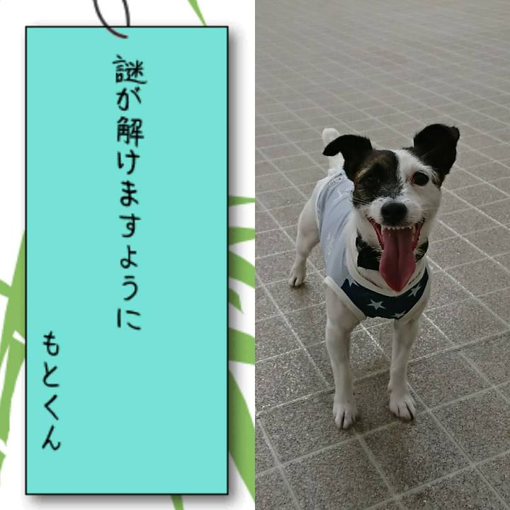 12a00847 e10e 4fcc bf23 87c602fe4e7f 1531002129069