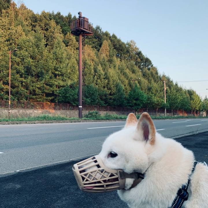 12a03385 5b89 4bc9 8c31 ee1fb67401f1 1630183220267