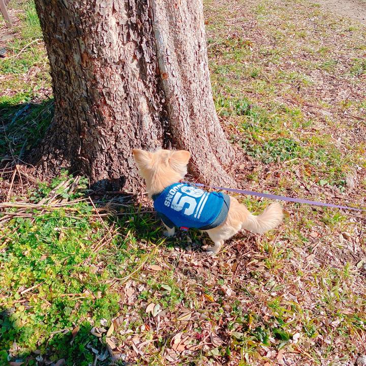 12a05631 3057 4a5b a502 8c2047b72b62 1645689443526