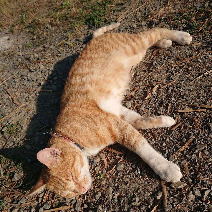 12a05691 bb08 4123 83fd e513a54ea083 1562709436391