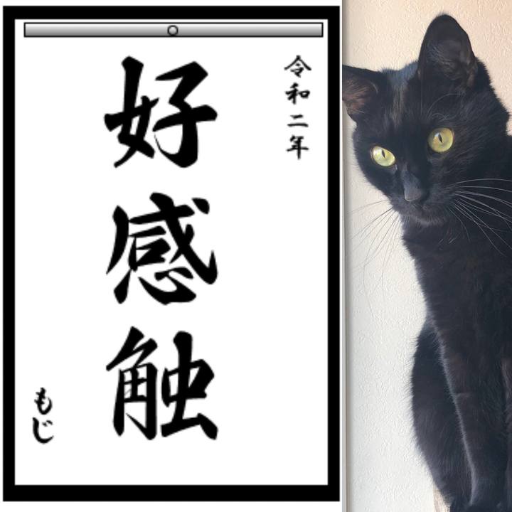 12a06b2f a766 43d4 8906 b8f84d67e594 1577958843689