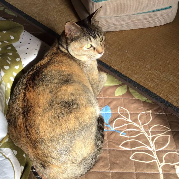 12a0d36b e63d 4557 8f49 59d1ba44a568 1587425008861