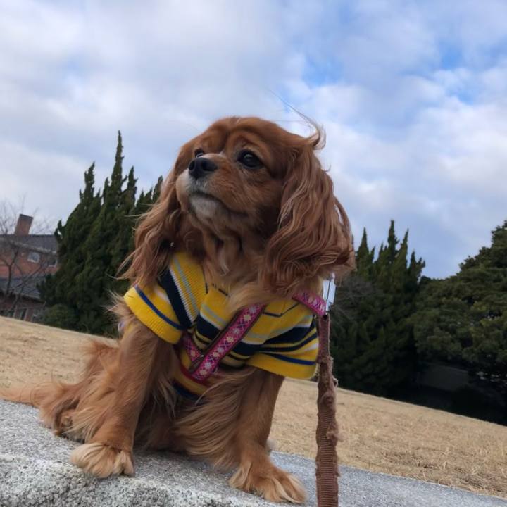 12a0f24c 054c 4979 84f1 27cca201cee0 1642853948157