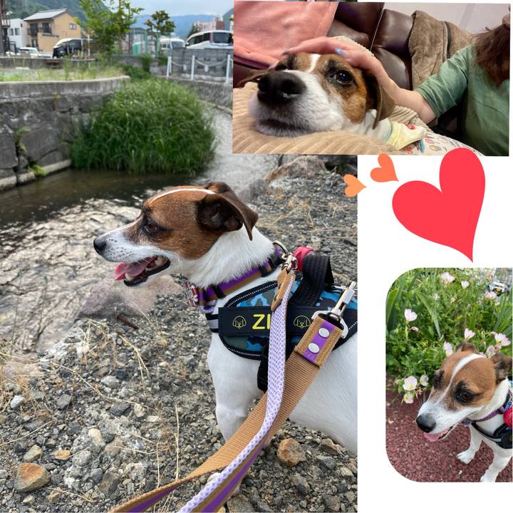 12a11d5d f823 4535 a726 87b98b378aef 1717844866912