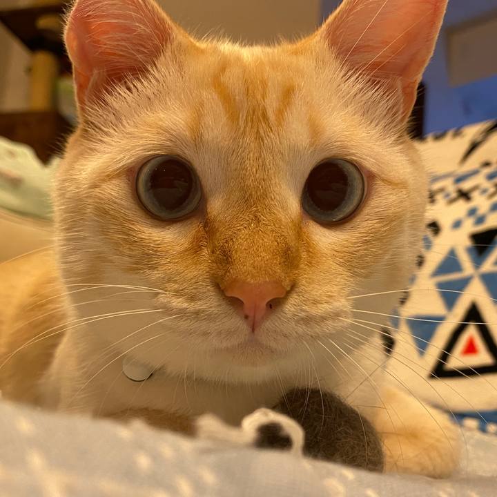 12a12b3c 9383 4099 bb79 93598b6c869e 1660151385778