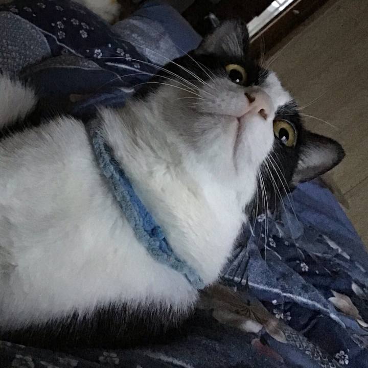 12a14682 1972 4ea0 bf3a 4c0dd9772161 1665096418021