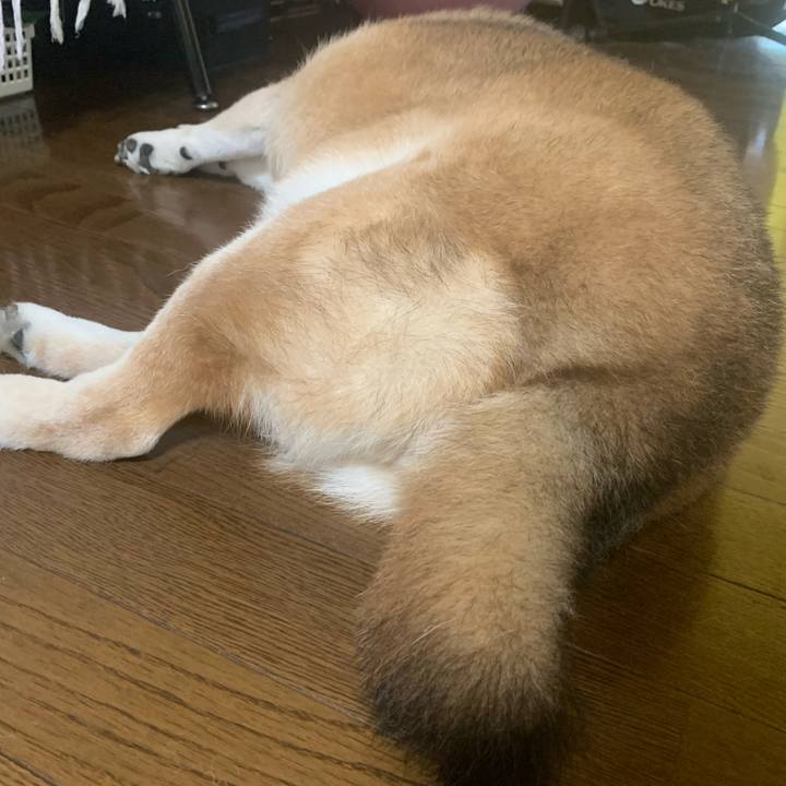 12a15e89 efed 4982 83a6 f603e4bfaaa2 1629002664080