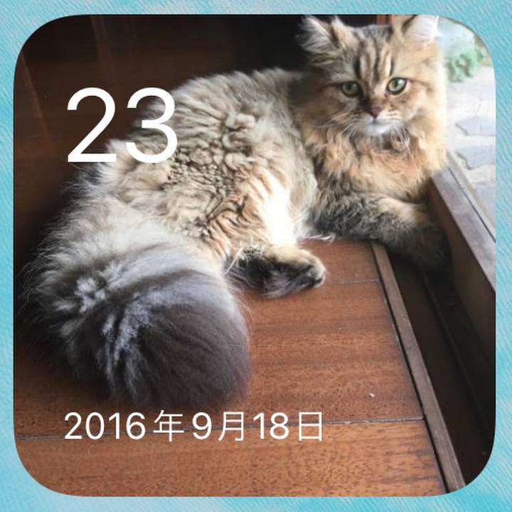 12a1a10e 15e3 4bfd 8a67 b098c82174c2 1663897138170