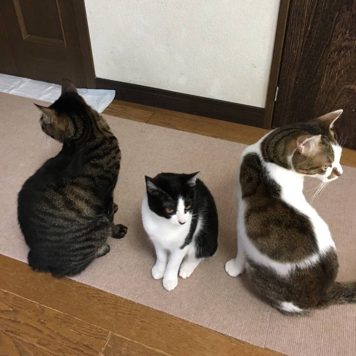 12a1c54c 62ba 4232 a133 e3b40987127a 1580902466051