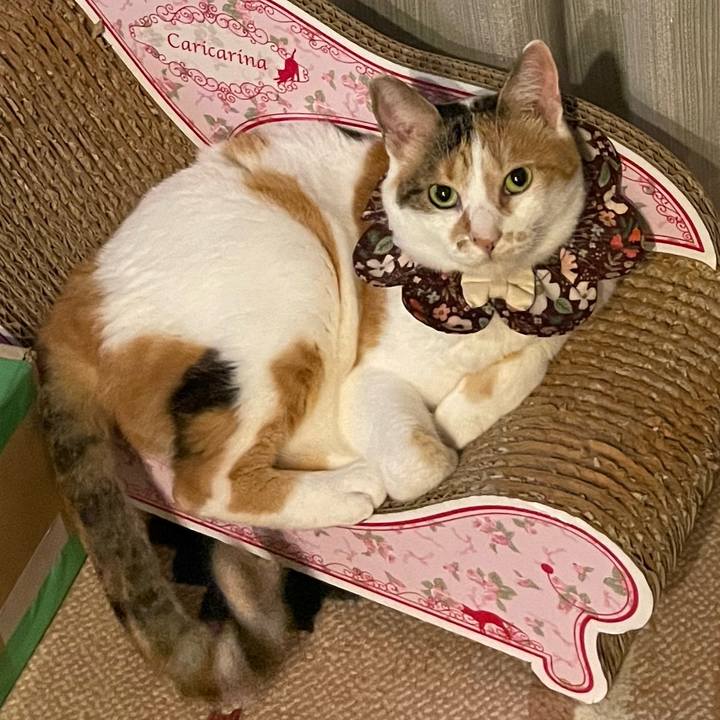 12a1e79e 3ba6 4d1f 968a 12feff4df8f5 1755000168253