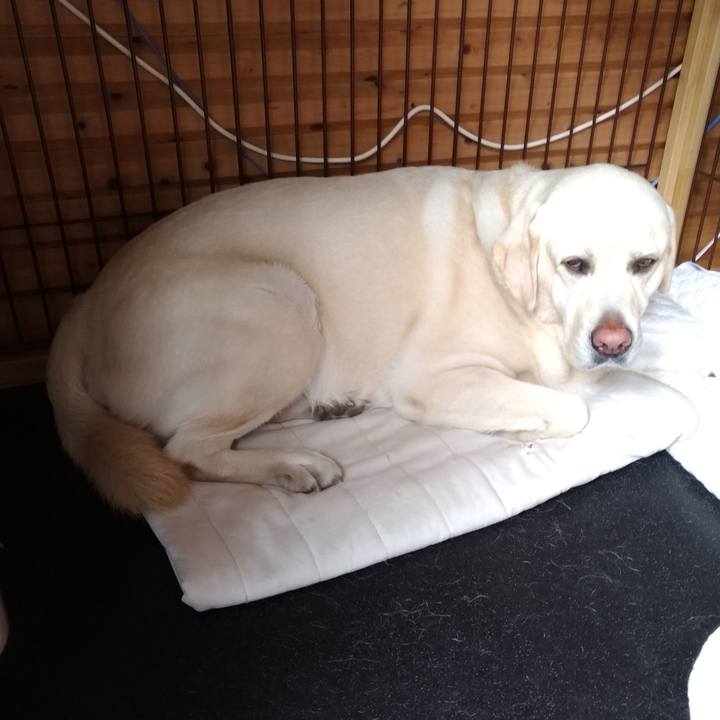 12a1f60b cbfc 475d a003 9e1fe3f8229a 1590895158826