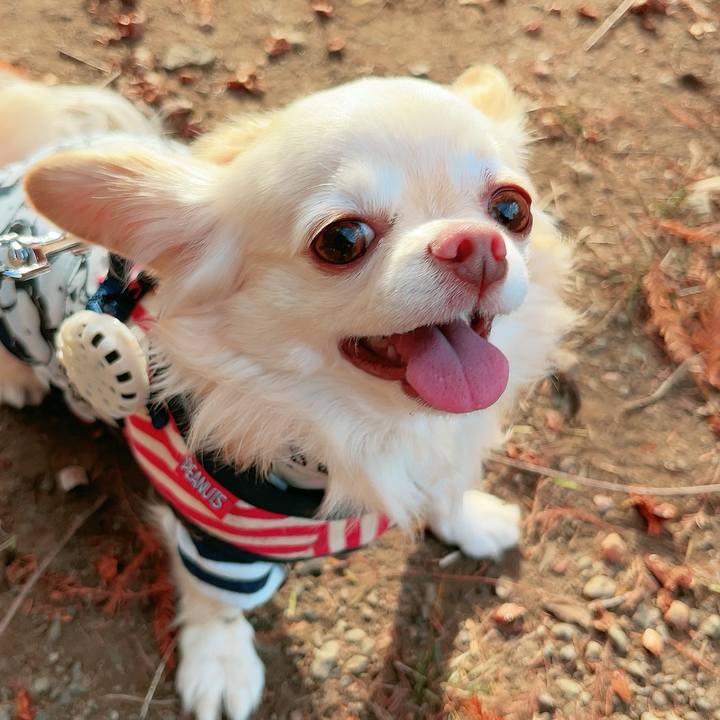 12a1ff90 35a8 4dd5 bc79 e31304e63d58 1700726359019