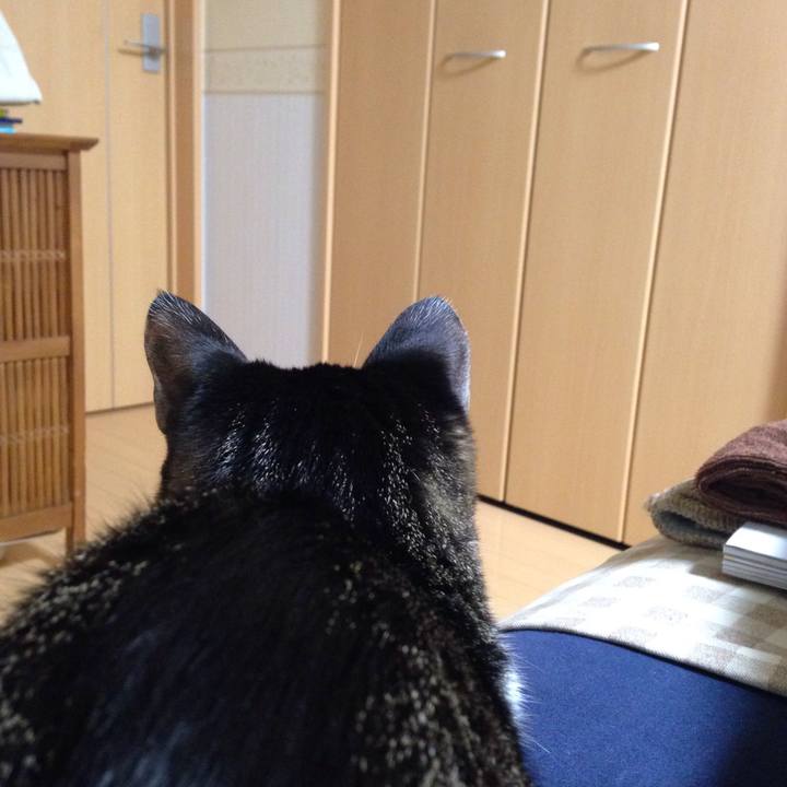 12a21e44 a84d 43a4 9f30 25053e8ec62b 1512701610545