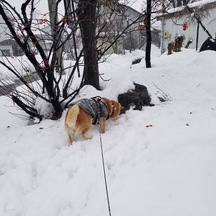 12a22ae1 2850 4bb7 8408 0d0a2f6a2f1d 1735274340279