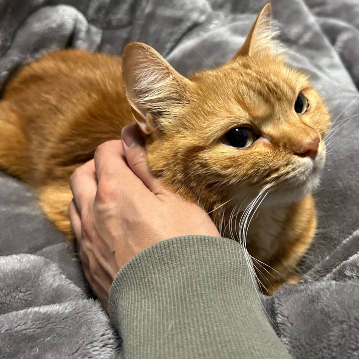 12a24912 3c04 45e6 82f9 42e9ddb6b412 1684923702431