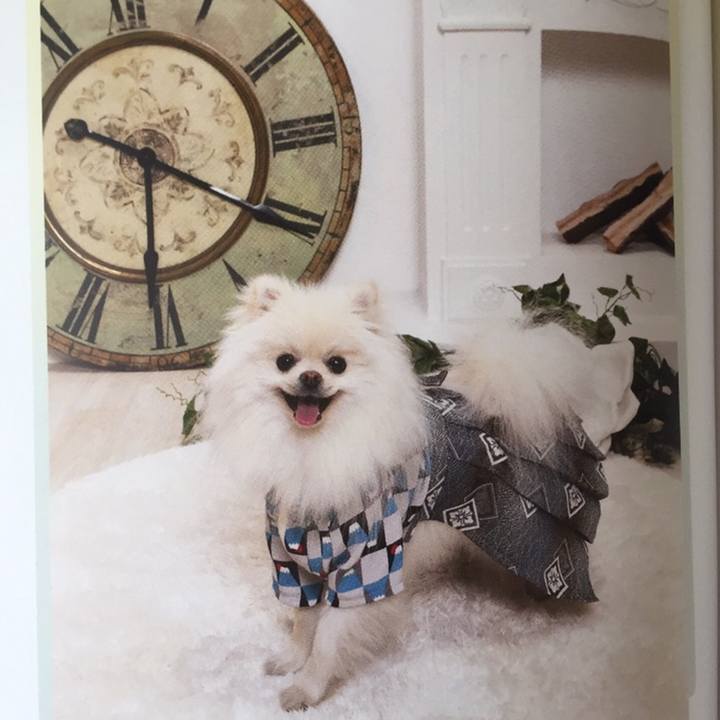 12a25f0b 8d78 40b3 ab12 e0e5b7c0893e 1514732585163