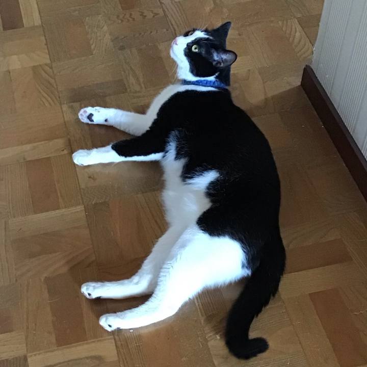 12a2637b f2e2 4c1b b0d9 7492bc51abed 1753780740562