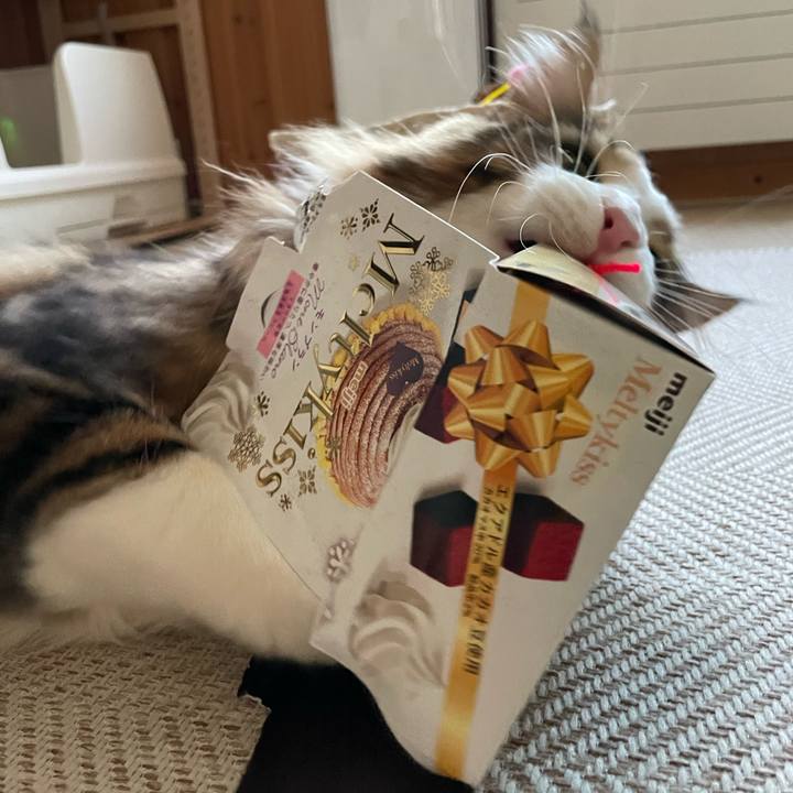 12a290a3 9514 4442 ba13 d5381b662e91 1653076994078