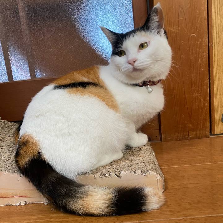 12a2963f 69d1 4bf7 b671 75f729347357 1649589853533