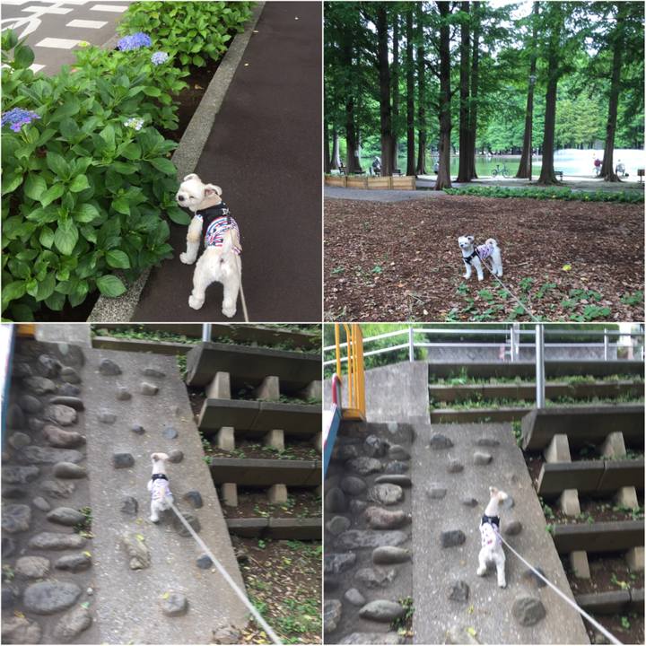 12a2bd0b 9a9d 4154 8295 b37663d32a05 1529215567922