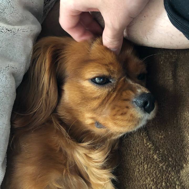 12a2c12f a4d7 404c 9ec3 22ed69daf1af 1555626824072