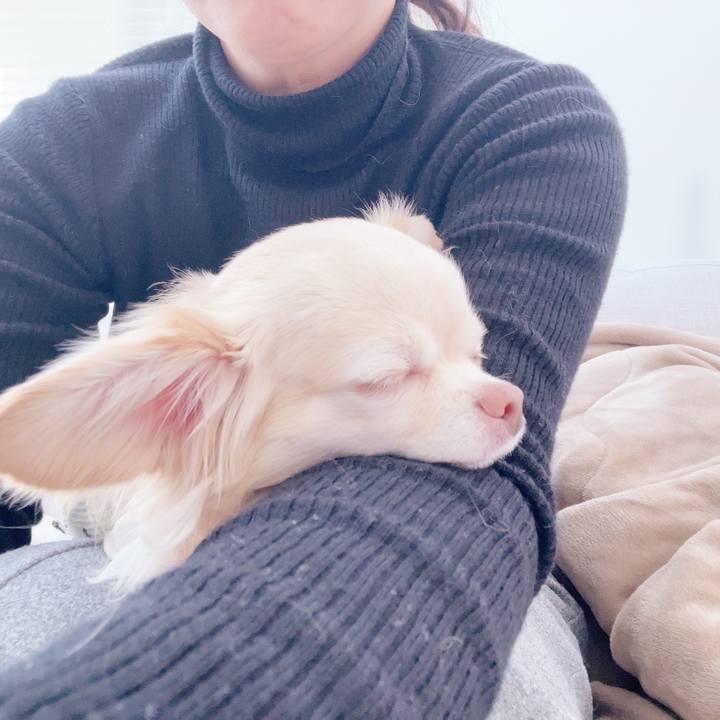 12a2f05a cddb 4e54 9566 0e219582ea6c 1741502429720