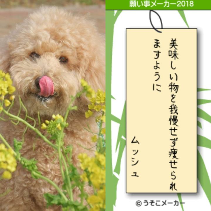 12a2fd97 34f9 4258 9da8 047de805732b 1530939555646