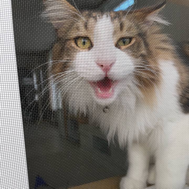 12a3216e 837b 4377 83b6 3e375884bc9c 1654853209622