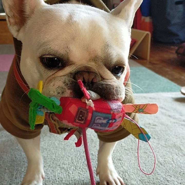 12a34cac 1907 40e3 a2e4 7963c3315c1e 1639266438192