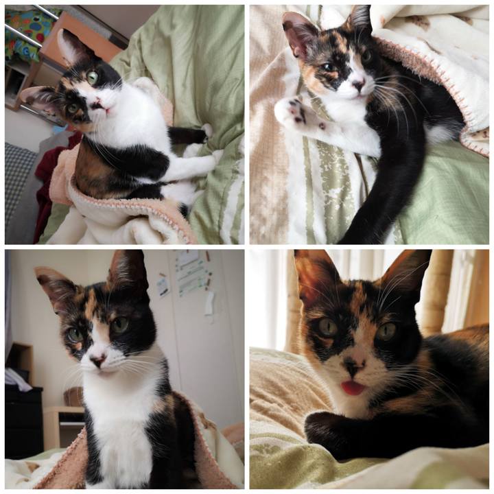 12a39985 59db 4abf 8c0f c1282c663d8f 1604391000497