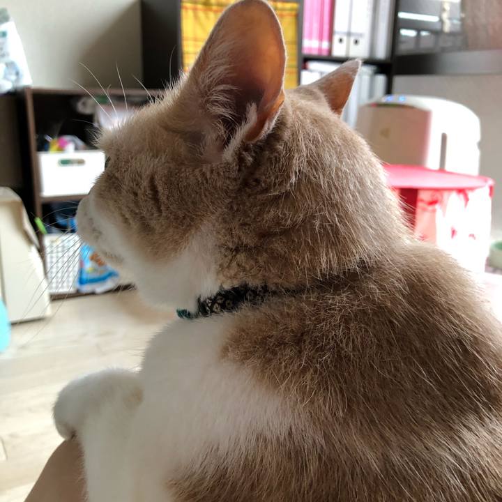 12a3acbd 058f 4fa0 8a05 1fa63a699d3a 1628895738808