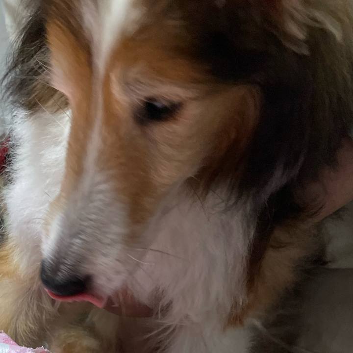 12a3ca19 4688 40a1 96bf b0edfeda8aaa 1647761873989