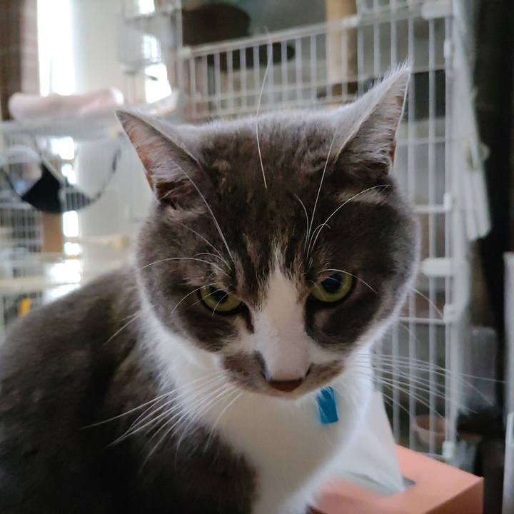 12a3e693 c82e 46d4 9fbd ba2c295a995d 1720687178329