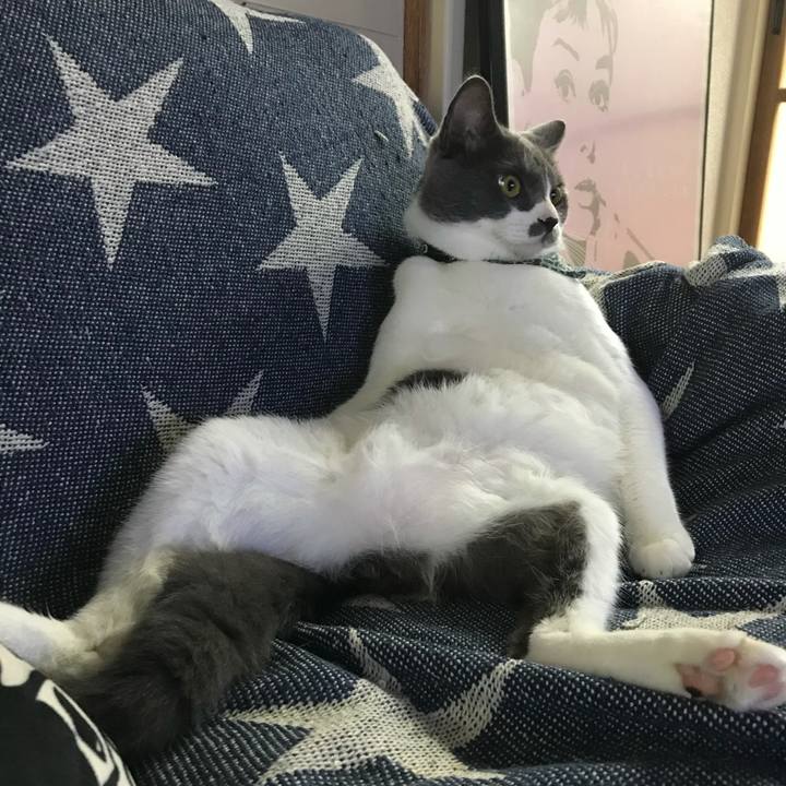 12a4064a 371b 4572 bb8a 2559369bad99 1623313174701