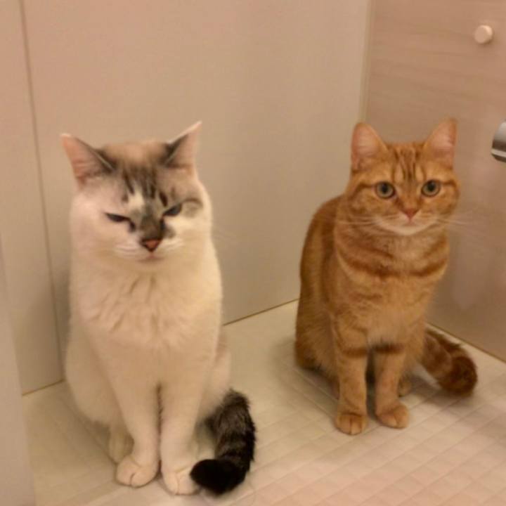 12a40c27 896a 4e6b 9893 783e76f2855d 1541499412305