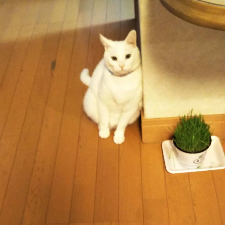 12a415d2 9dd8 4d75 80e4 141f46a054bf 1607072028094