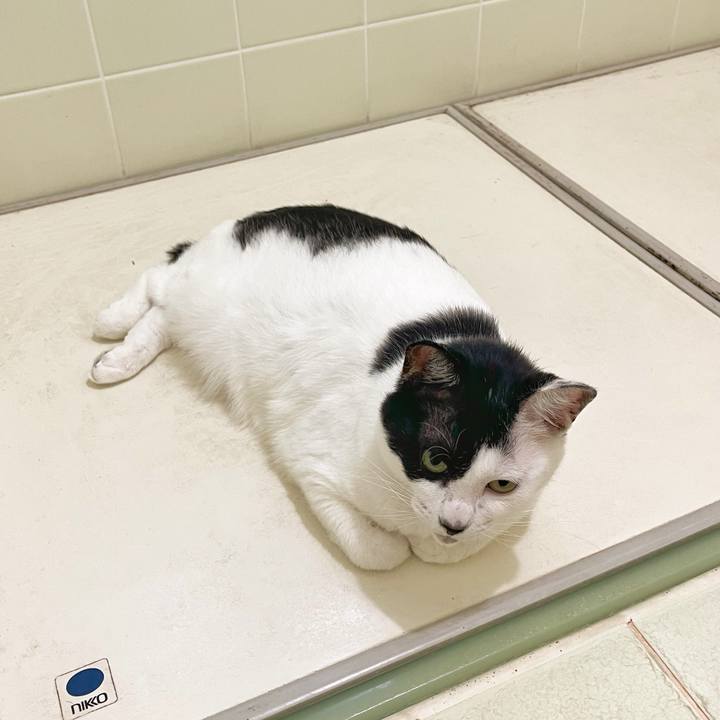 12a41859 380f 4dd8 b8cf 8d817ccf1392 1759790957600