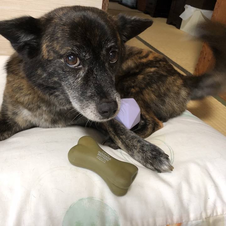 12a42460 83c6 4f72 a72b 3ef084451221 1595822065773