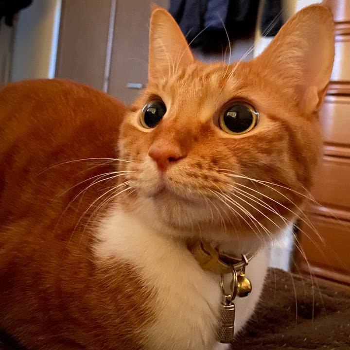 12a49221 6f4a 490d b049 57bfb89f0e37 1582789386912