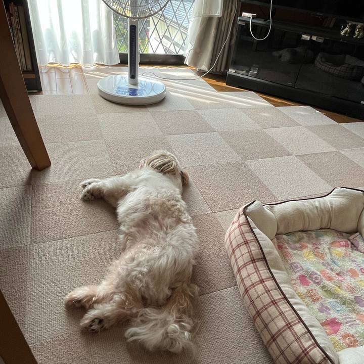 12a4ce71 d663 4bfc 8df5 3ef037fe176e 1663547836595