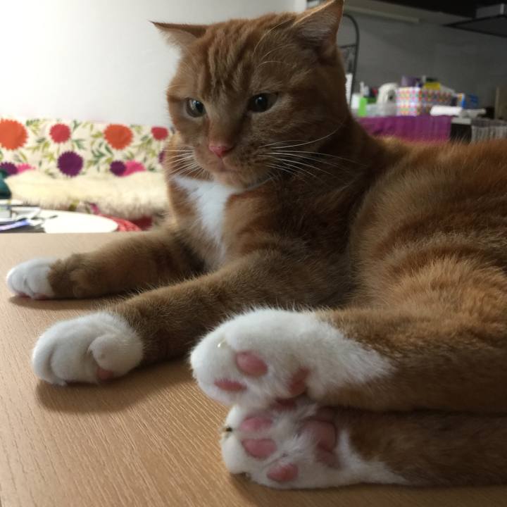 12a4fb03 8378 4157 9e1b 4d8981d2d721 1549854900097