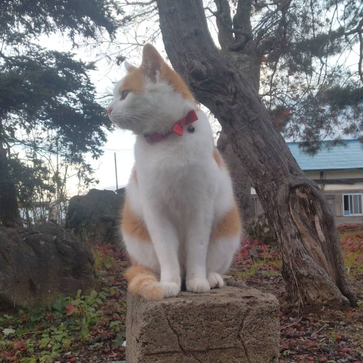 12a52319 f870 4ff1 b241 913e6724458f 1763969782094