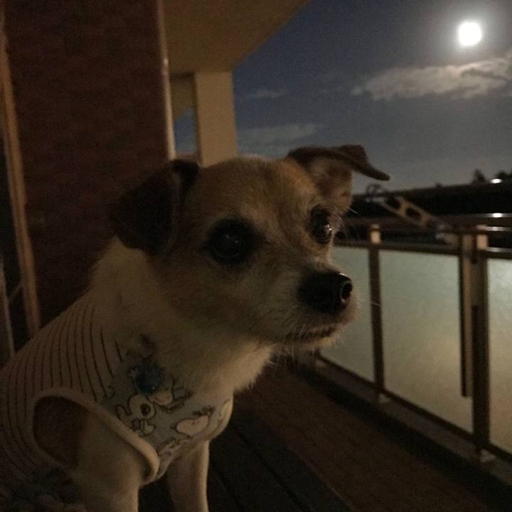 12a54025 05a3 425a 8025 011d20aef422 1632222005732