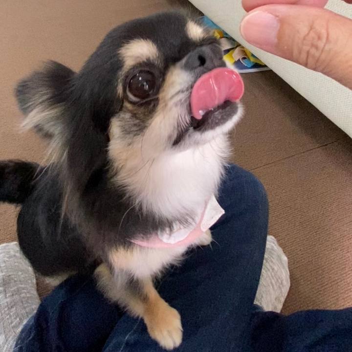 12a54648 5911 434a b20d 998db3964e52 1633041623817