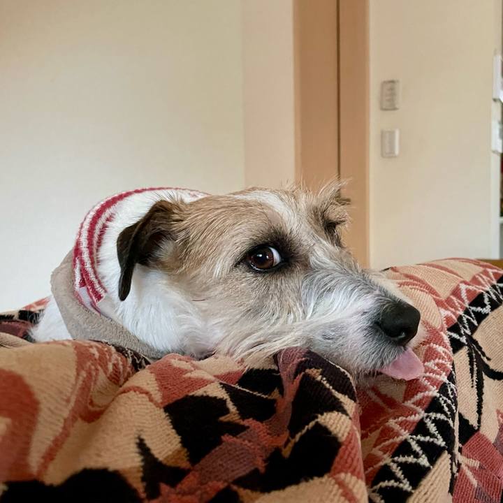 12a54838 e9d1 438d 8034 8156ba59d8f8 1674384845354