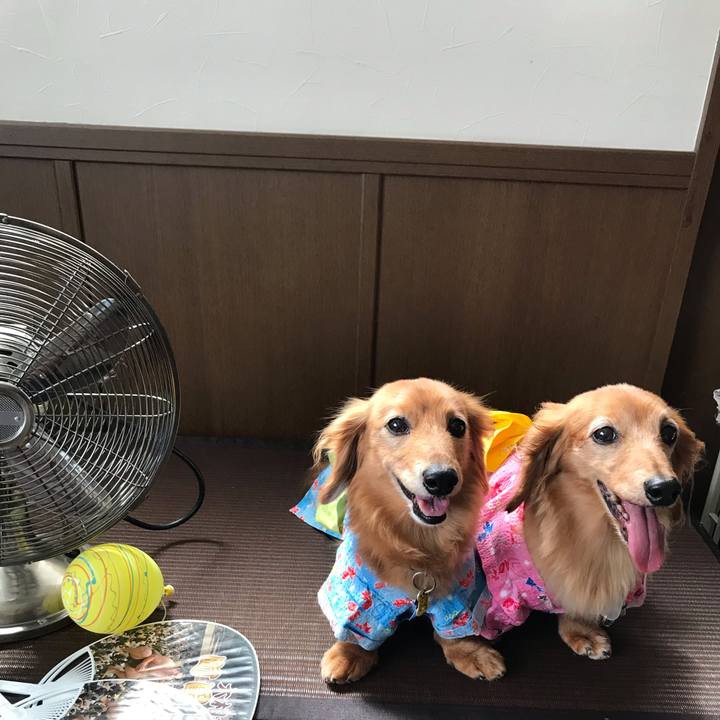 12a5604b 1b3e 4d3d 9d11 34bbd887fbe3 1566129326763